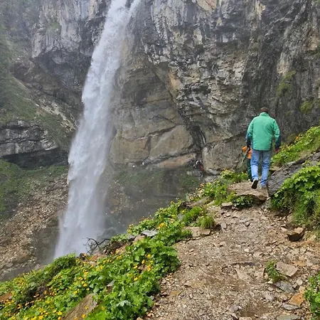 Haustiptop Flachau