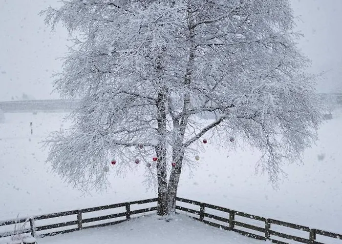 Apartment Haustiptop *