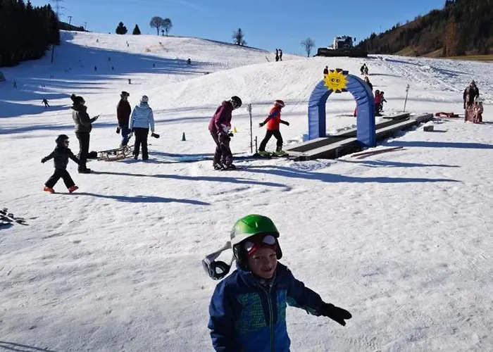 Apartment Haustiptop Flachau